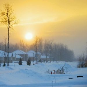 Meet your Posher, Mya